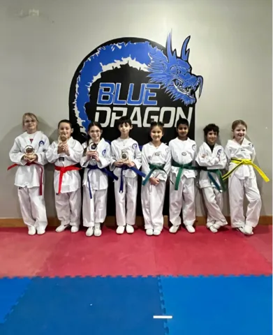 Dragon 1 in action
